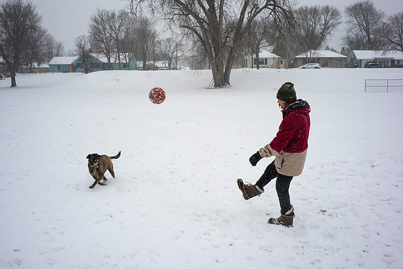 Snow in Rochester