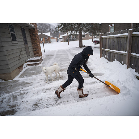 Snow in Rochester