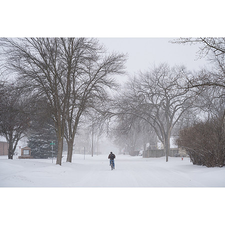 Snow in Rochester