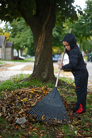 Wild Art - Raking Leaves