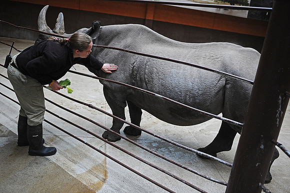 Great Plains Zoo Conservation