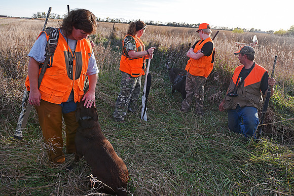 South Dakota Pheasant Hunting Opener