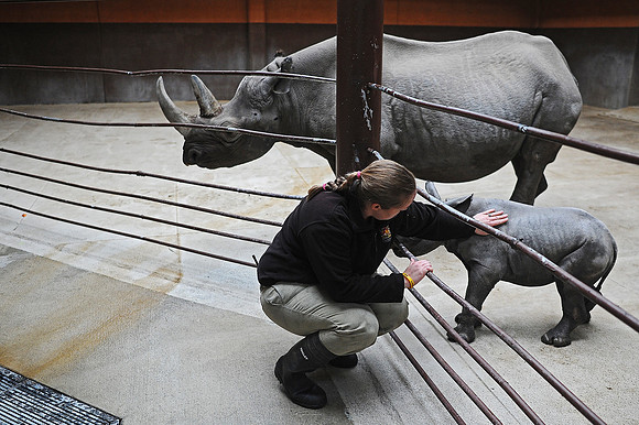 Great Plains Zoo Conservation