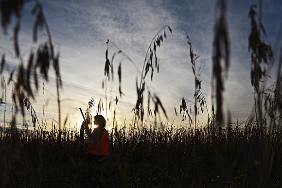 South Dakota Pheasant Hunting Opener