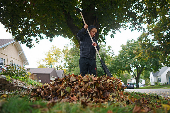 Wild Art - Raking Leaves