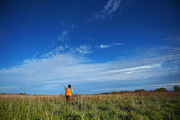 South Dakota Pheasant Hunting Opener