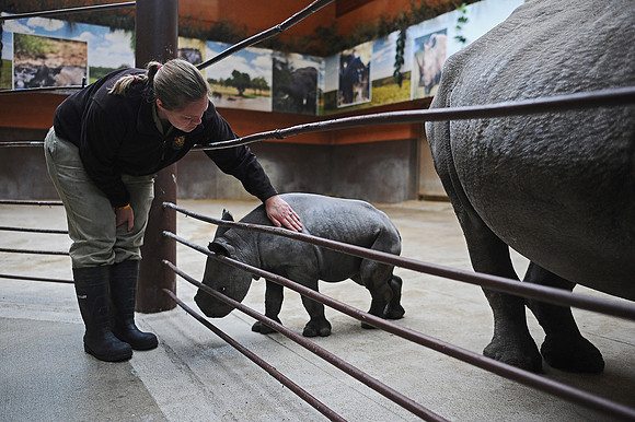 Great Plains Zoo Conservation