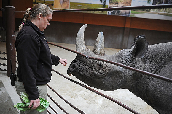 Great Plains Zoo Conservation