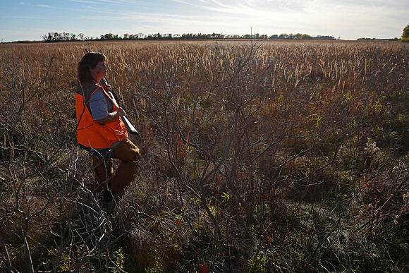 South Dakota Pheasant Hunting Opener
