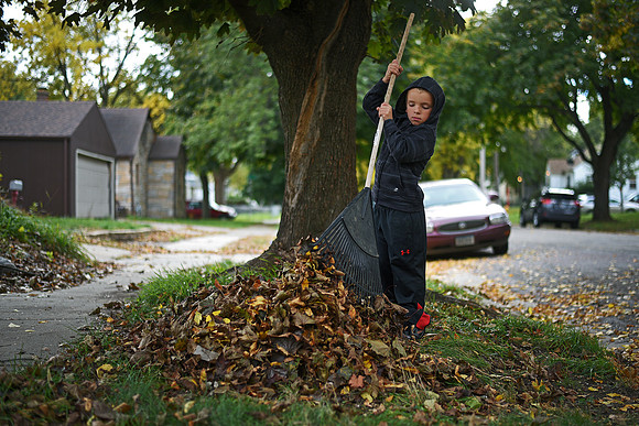 Wild Art - Raking Leaves