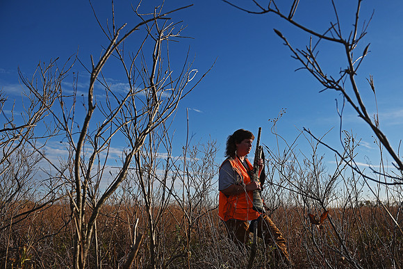 South Dakota Pheasant Hunting Opener